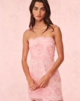 Vailia Dress in Pale Pink