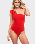 Tess One Shoulder One Piece in Cherry